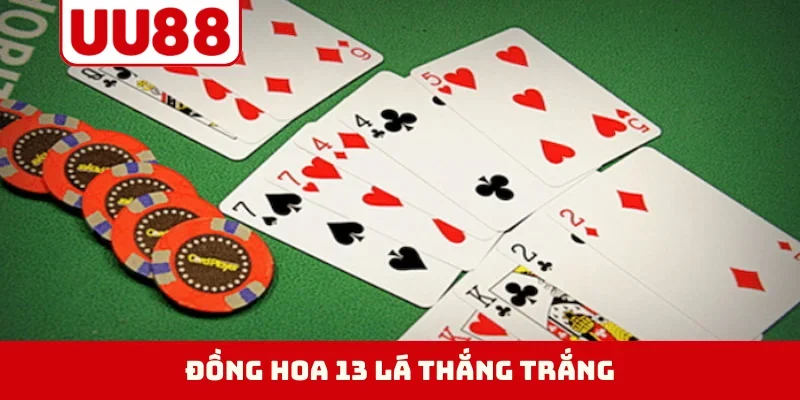 Đồng hoa 13 lá thắng trắng