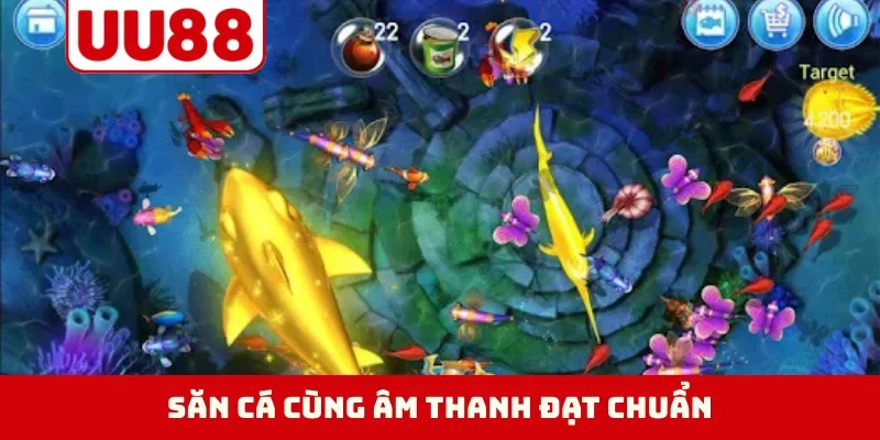 Săn cá cùng âm thanh đạt chuẩn