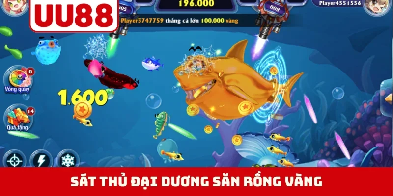 Sát thủ đại dương săn rồng vàng
