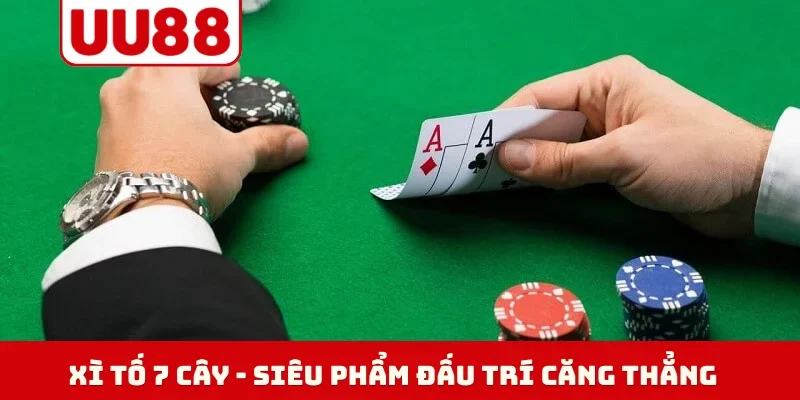 xi-to-7-cay-bia